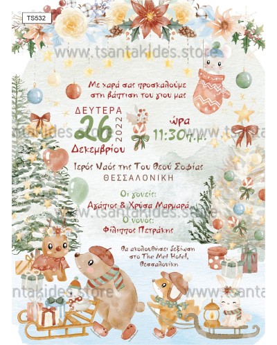 TS532-NO91K XMAS...